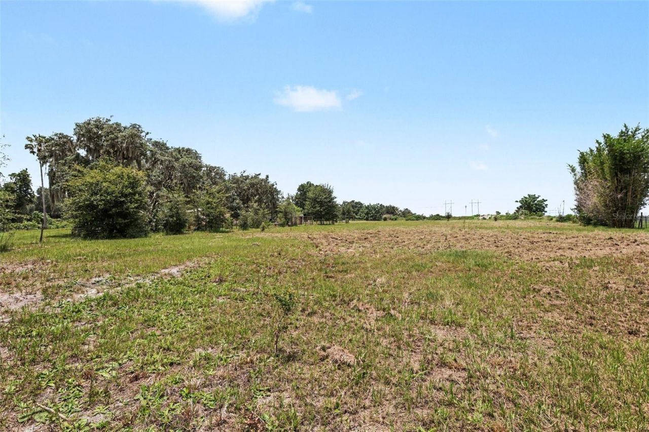 10239 Lyons Avenue, Lithia, FL 33547 Photo