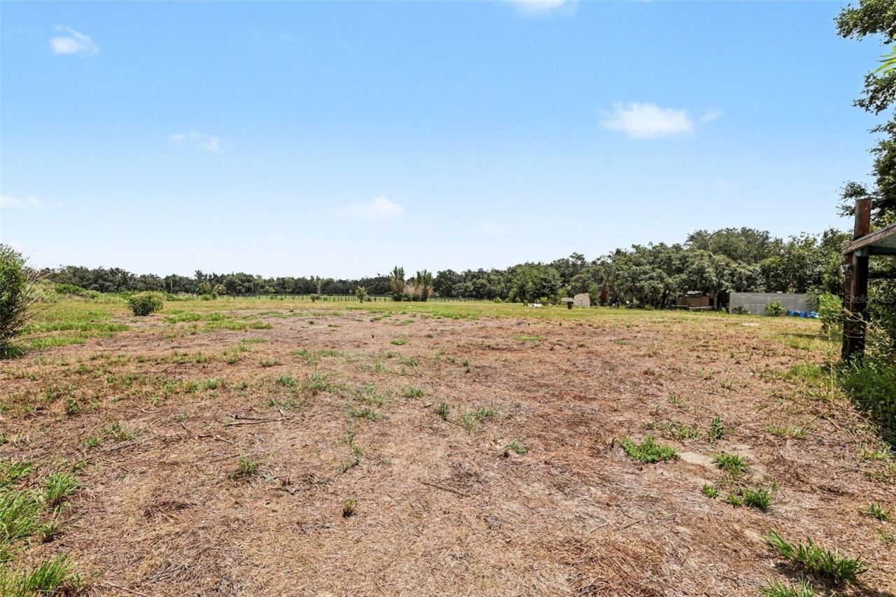 10239 Lyons Avenue, Lithia, FL 33547 Photo