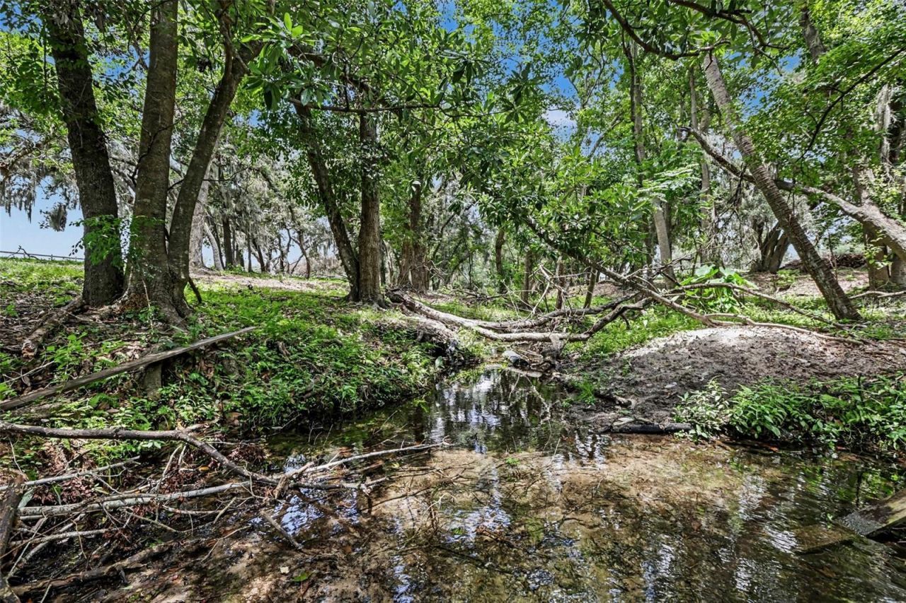 10239 Lyons Avenue, Lithia, FL 33547 Photo