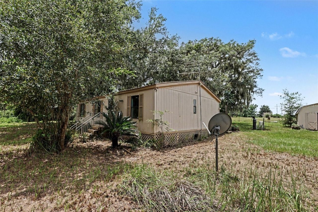 10239 Lyons Avenue, Lithia, FL 33547 Photo