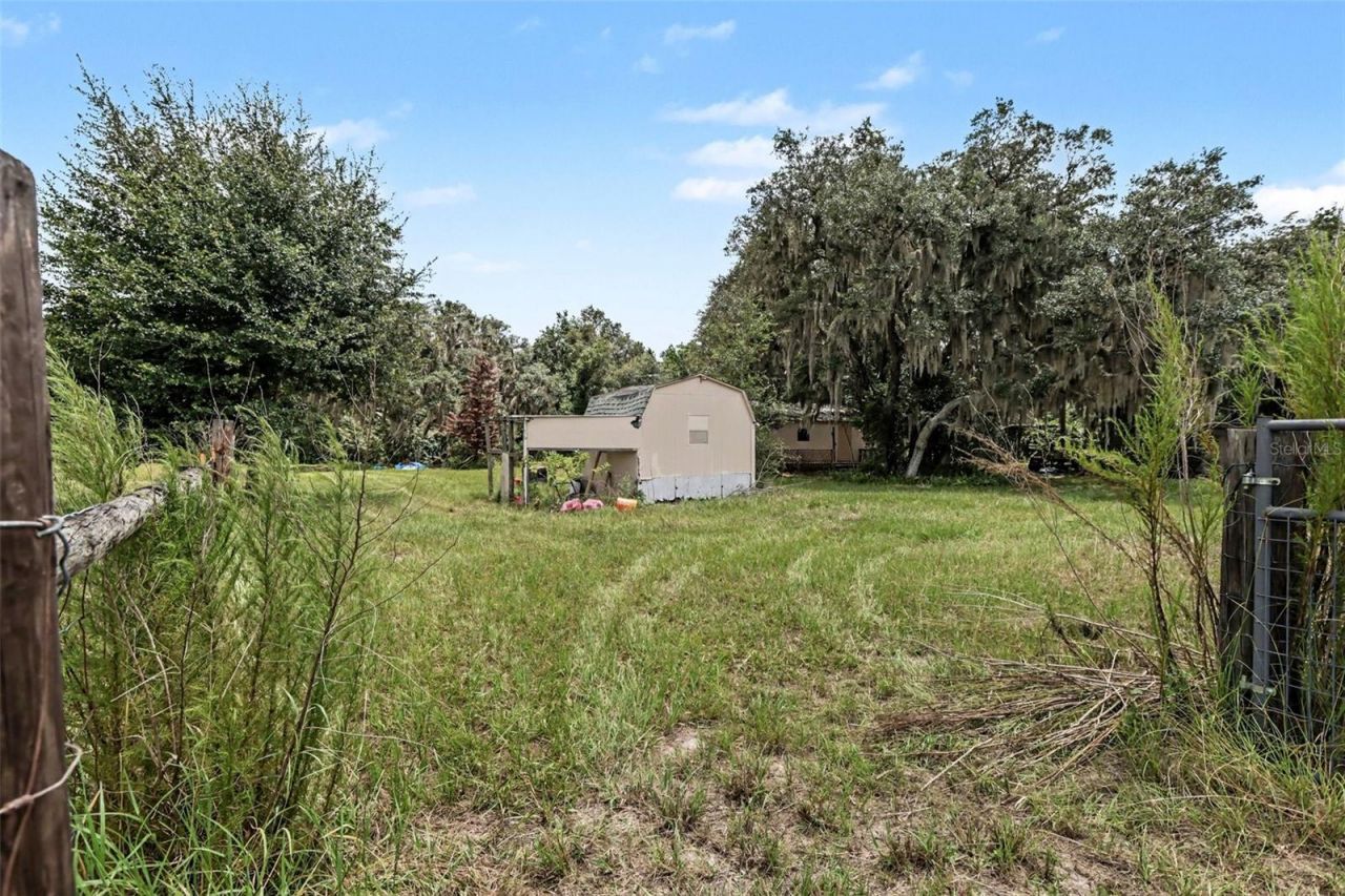 10239 Lyons Avenue, Lithia, FL 33547 Photo