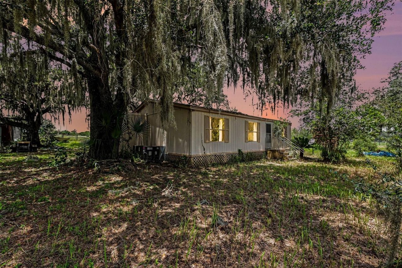 10239 Lyons Avenue, Lithia, FL 33547 Photo