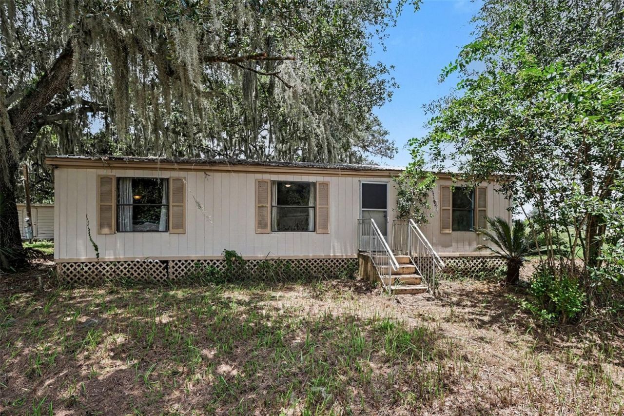 10239 Lyons Avenue, Lithia, FL 33547 Photo