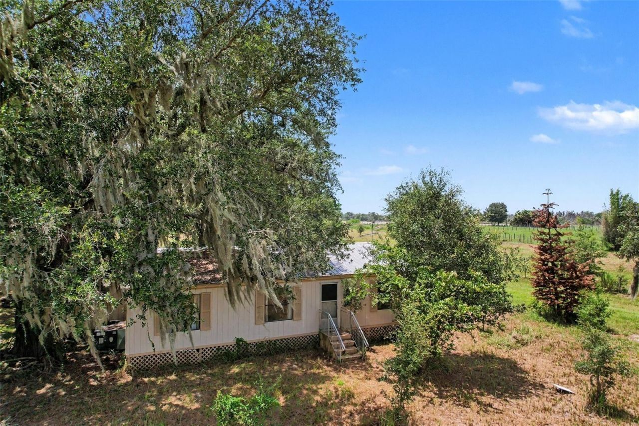 10239 Lyons Avenue, Lithia, FL 33547 Photo