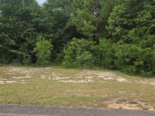 0 Haley Drive , Mobile, AL 36618