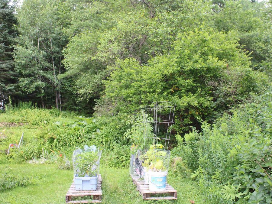 Property Image 43
