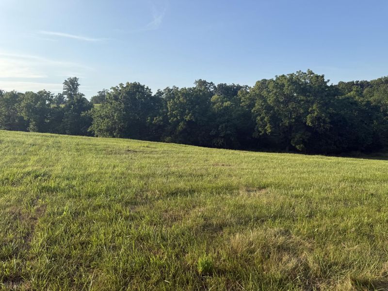0 Renaker-Berry Road, Berry, KY 41003 Photo 10