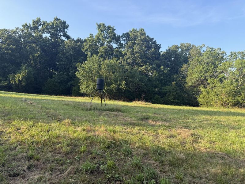 0 Renaker-Berry Road, Berry, KY 41003 Photo 11