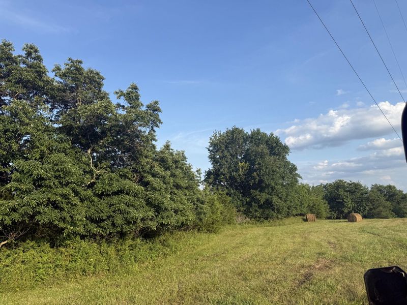 0 Renaker-Berry Road, Berry, KY 41003 Photo 12