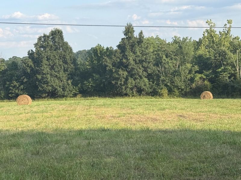 0 Renaker-Berry Road, Berry, KY 41003 Photo 13