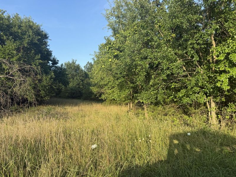 0 Renaker-Berry Road, Berry, KY 41003 Photo 14