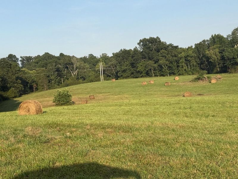 0 Renaker-Berry Road, Berry, KY 41003 Photo 15