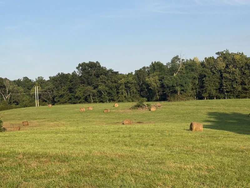 0 Renaker-Berry Road, Berry, KY 41003 Photo 16