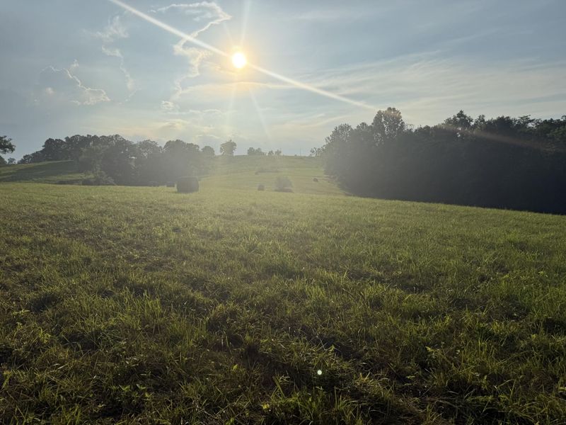 0 Renaker-Berry Road, Berry, KY 41003 Photo 17