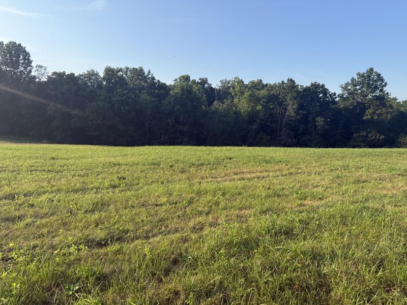 0 Renaker-Berry Road, Berry, KY 41003 Photo 18