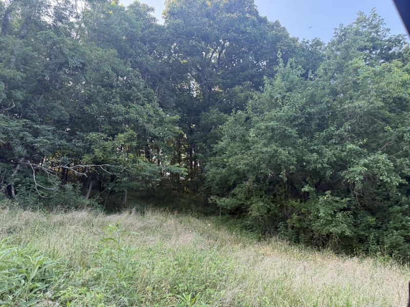 0 Renaker-Berry Road, Berry, KY 41003 Photo 19