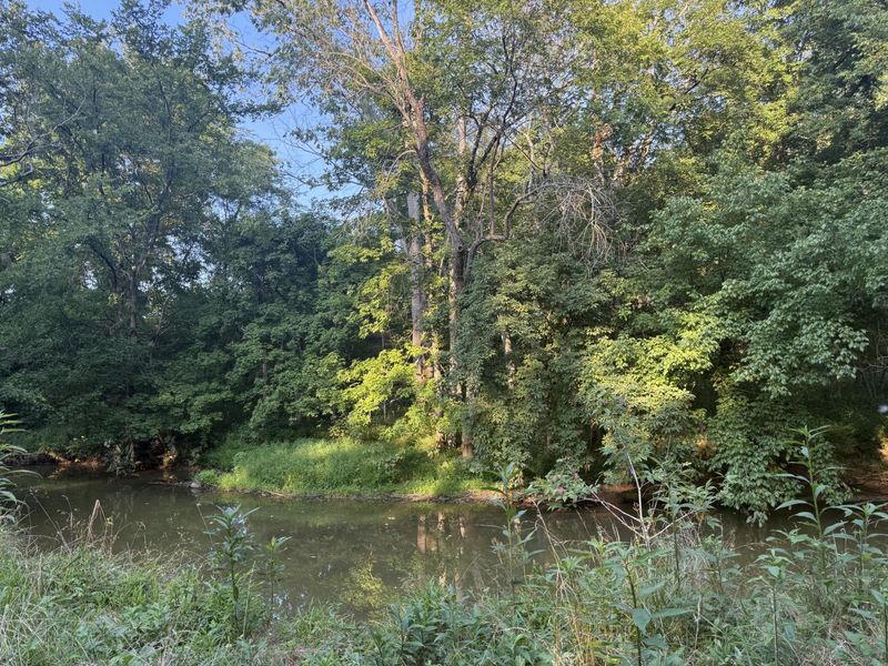 0 Renaker-Berry Road, Berry, KY 41003 Photo 21