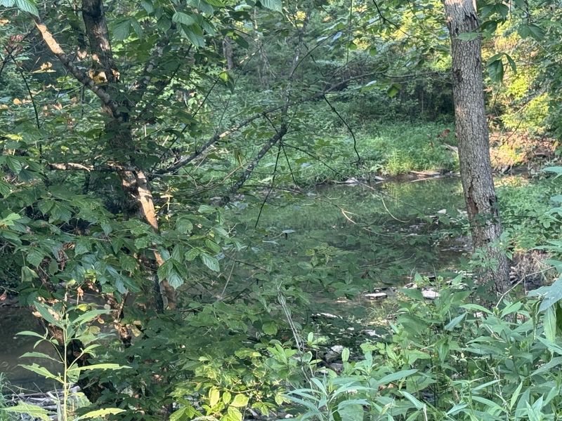 0 Renaker-Berry Road, Berry, KY 41003 Photo 22