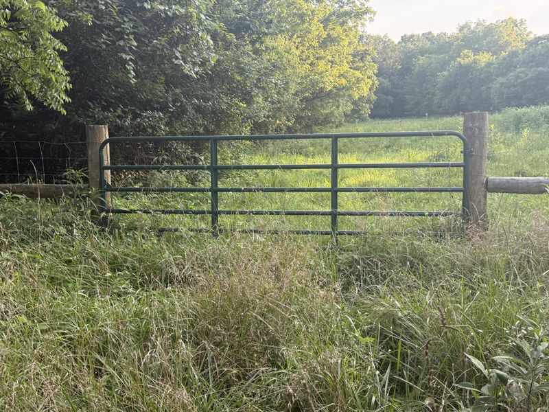 0 Renaker-Berry Road, Berry, KY 41003 Photo 23