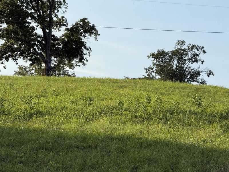 0 Renaker-Berry Road, Berry, KY 41003 Photo 24