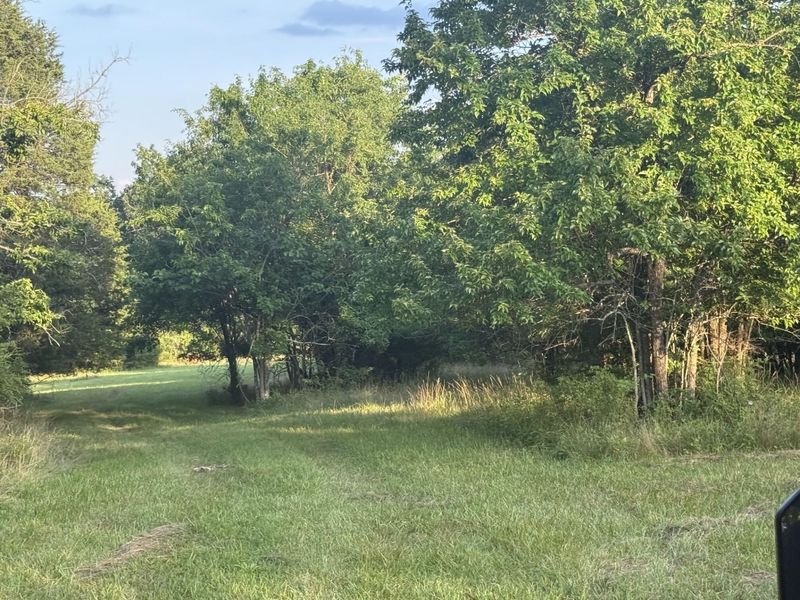 0 Renaker-Berry Road, Berry, KY 41003 Photo 27