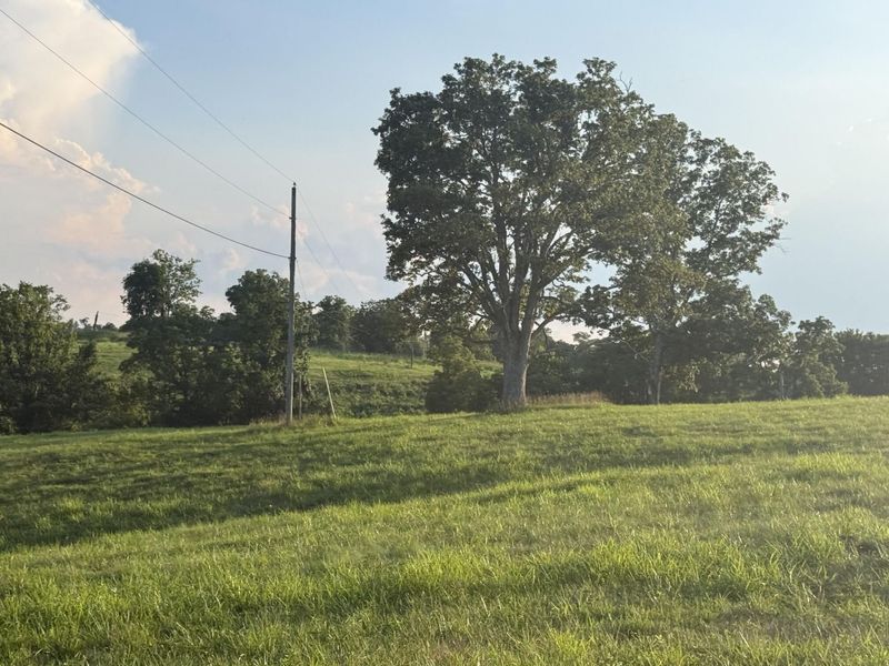 0 Renaker-Berry Road, Berry, KY 41003 Photo 28