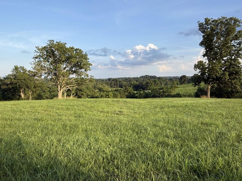 0 Renaker-Berry Road, Berry, KY 41003 Photo 29