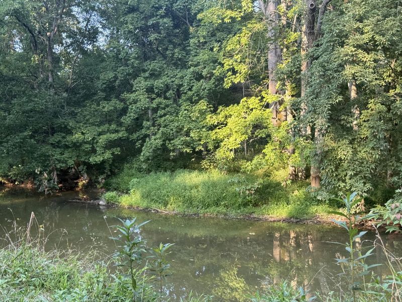 0 Renaker-Berry Road, Berry, KY 41003 Photo 3