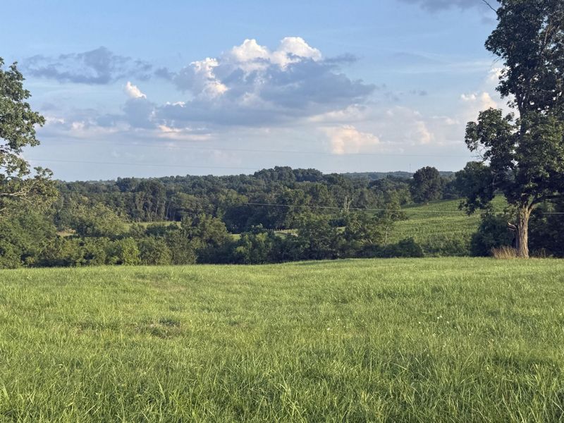 0 Renaker-Berry Road, Berry, KY 41003 Photo 30