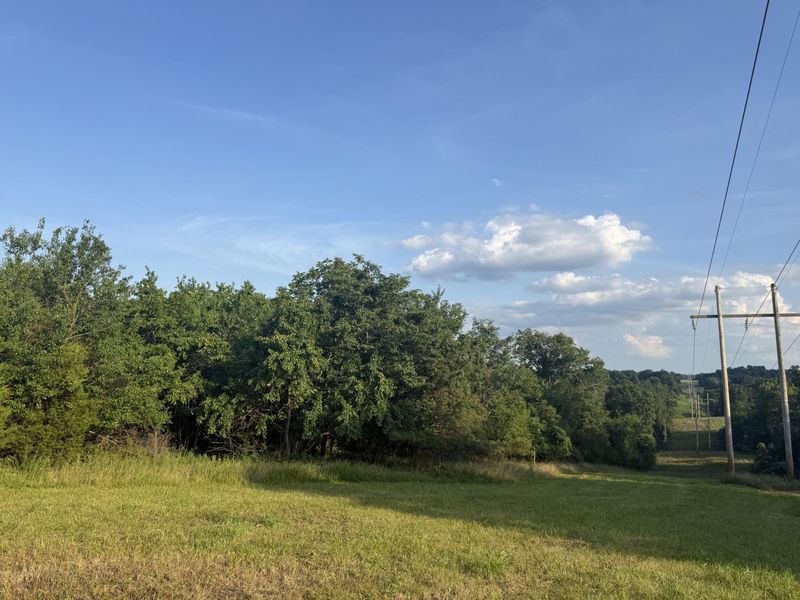 0 Renaker-Berry Road, Berry, KY 41003 Photo 31