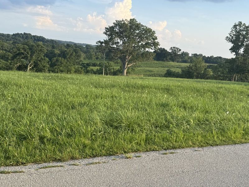 0 Renaker-Berry Road, Berry, KY 41003 Photo 6