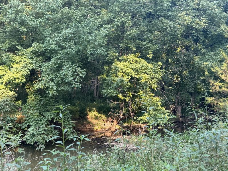0 Renaker-Berry Road, Berry, KY 41003 Photo 9