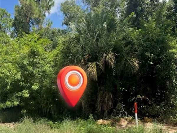913 ABBEY ST E, LEHIGH ACRES, FL 33974