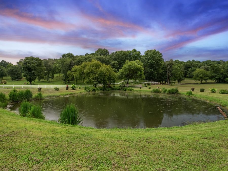 Property Image 98