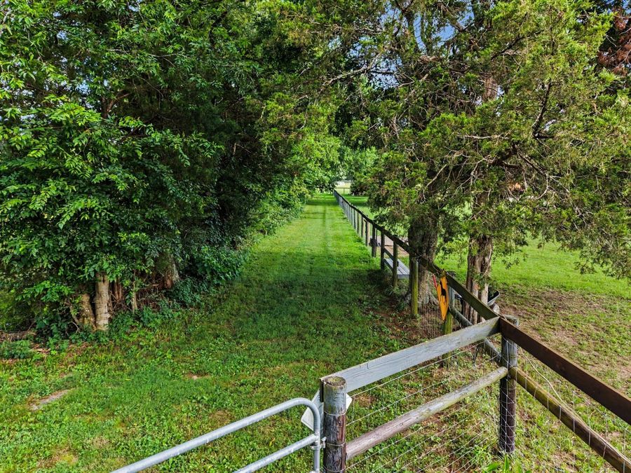 Property Image 61