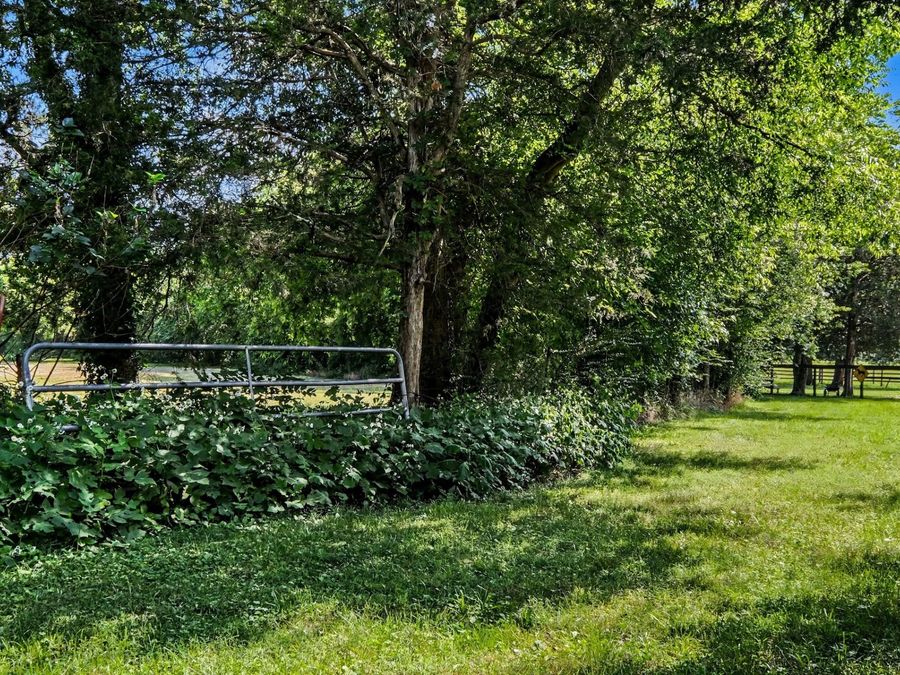 Property Image 64