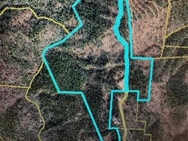 00 Lump Road , Purlear, NC 28665