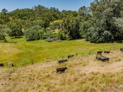 10371 Highway 124, Ione, CA 95640 Photo