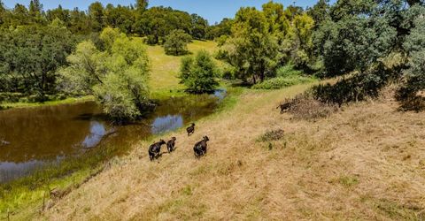 10371 Highway 124, Ione, CA 95640 Photo