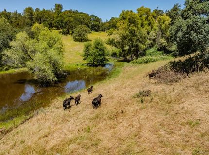 10371 Highway 124, Ione, CA 95640 Photo