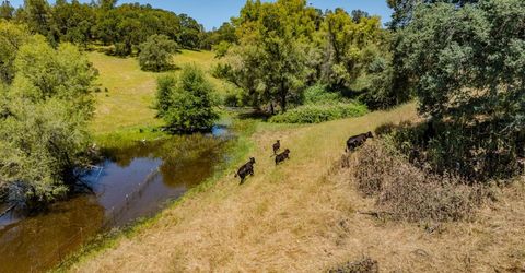 10371 Highway 124, Ione, CA 95640 Photo