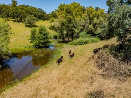 10371 Highway 124, Ione, CA 95640 Photo