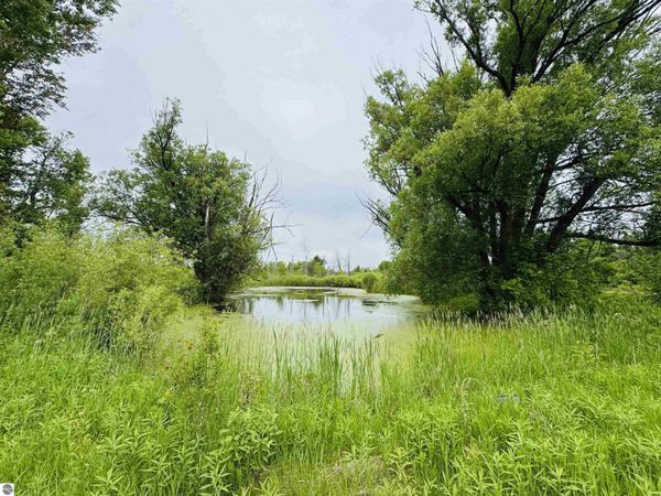 12 3/4 Road E, Manton, MI 49663
