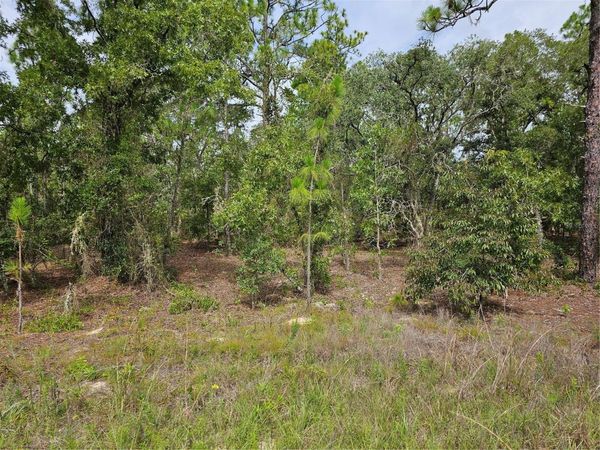 00 SW 122 AVENUE , DUNNELLON, FL 34432