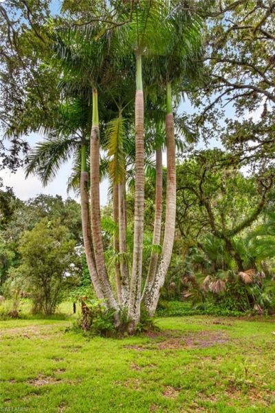 Please Call For Address, Fort Myers, FL 33905 Photo