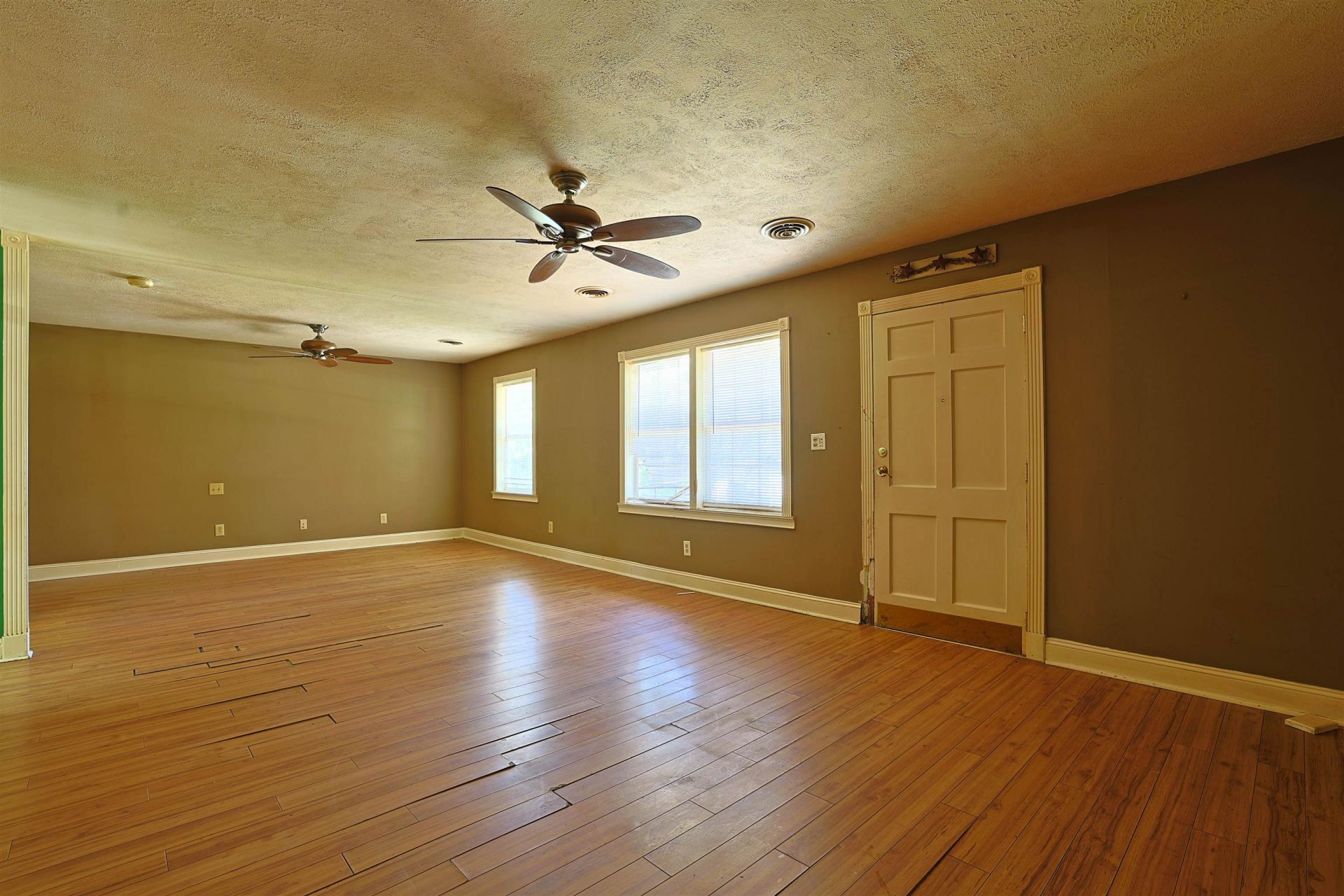 558 Cedar Dr.  Photo 5