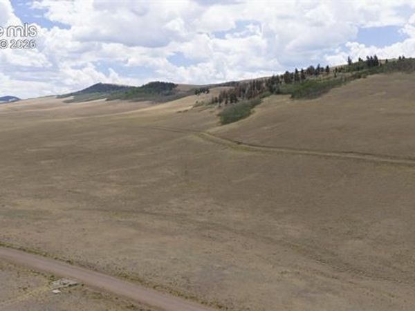 Lot 3912 County Road 53 , Hartsel, CO 80449