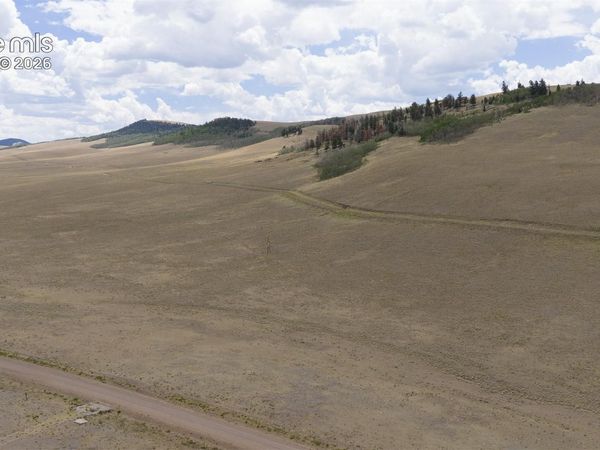 Lot 3912 County Road 53, Hartsel, CO 80449