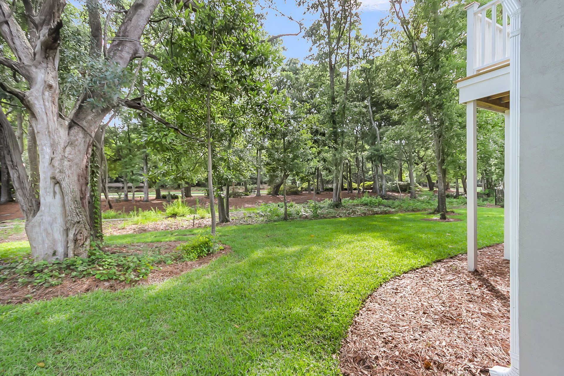 1416 Dahlia Road Photo 50