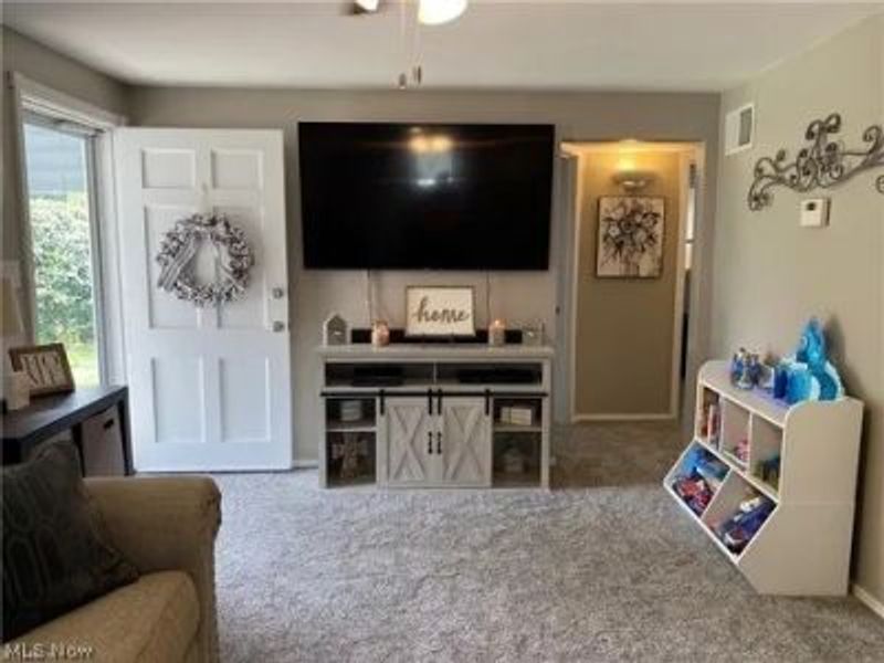 256 S Roanoke Avenue, Austintown, OH 44515 Photo 2
